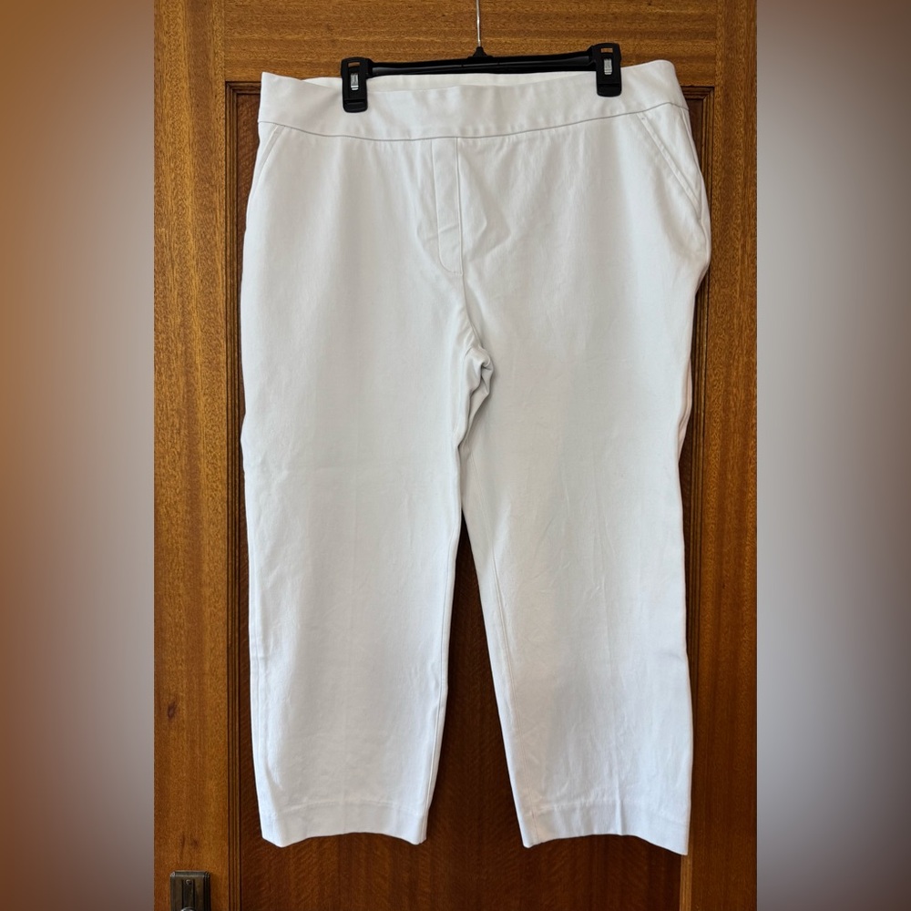 Spanx Pants, 1X